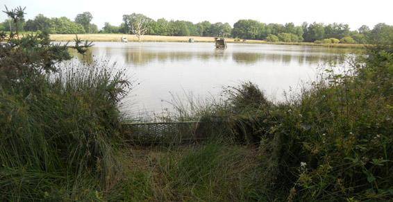 etang